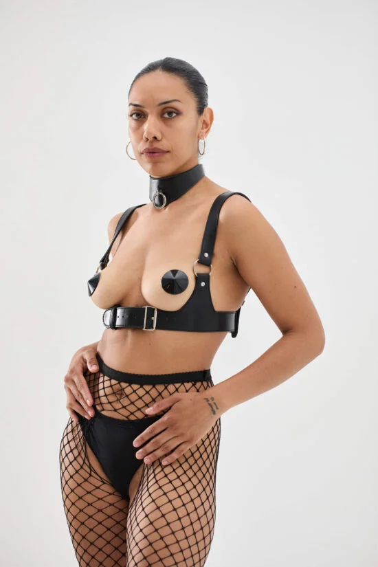 harnais de cuir leather harness
